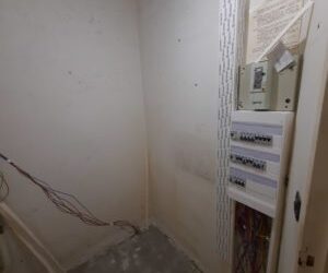 20210303_164858-300x400