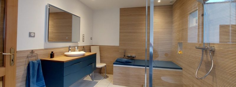 grande salle de bain avec douche et baignoire